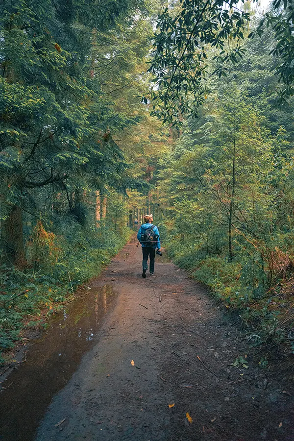 man hiking in the forest wearing outdoor apparel